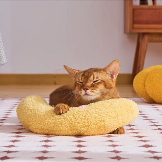 Coussin pour Chat | UltraDoux - Bien - être du chat