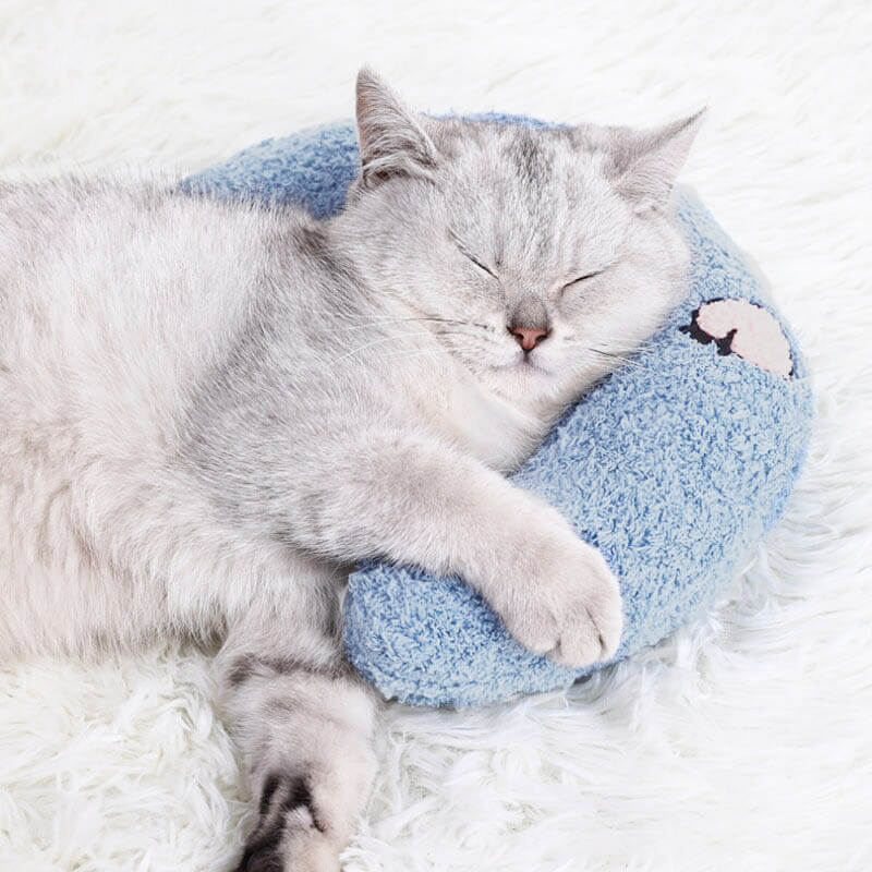 Coussin pour Chat | UltraDoux - Bien - être du chat