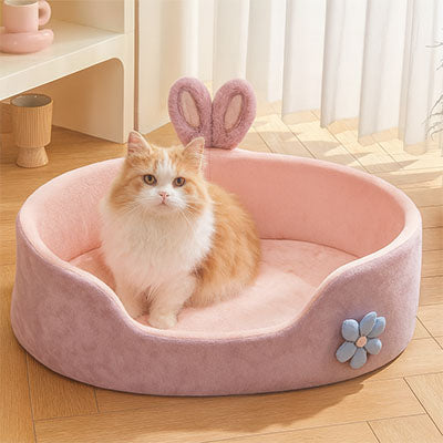 mignon chat assis dans panier chat avec jolis yeux