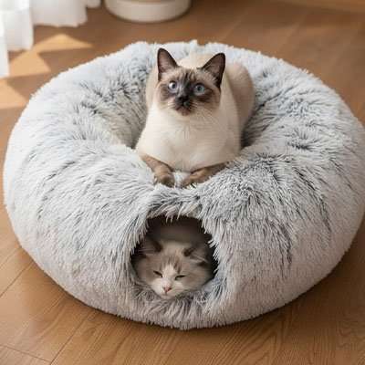 Niche pour chat compatible multi-chats