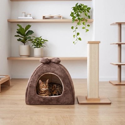 Niche pour Chat marron chat mignon