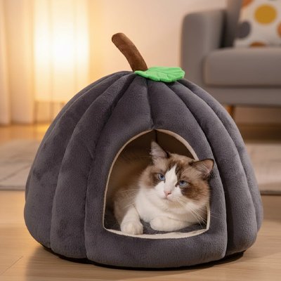 Niche pour chat Prune-Aubergine en citrouille