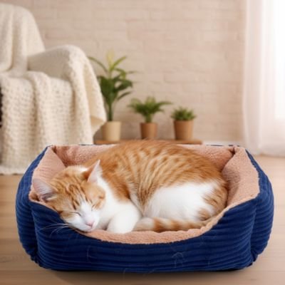 Panier chat bleu beige rectangulaire avec angles arrondis