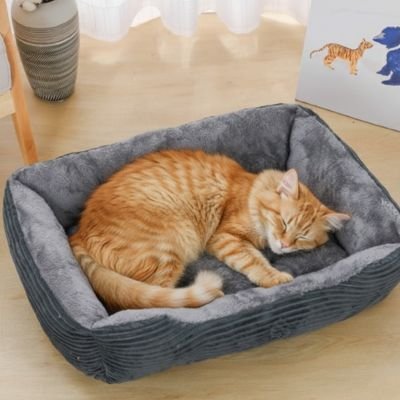Panier chat gris Bordures rembourrées surélevées