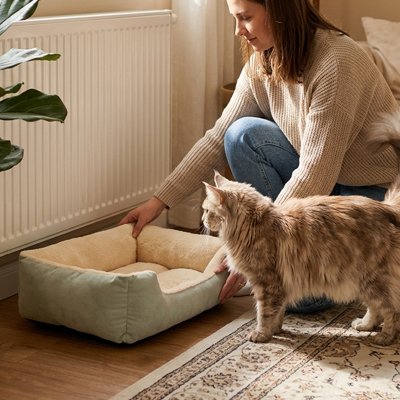 Panier chat vert sauge et beige Rebords surélevés