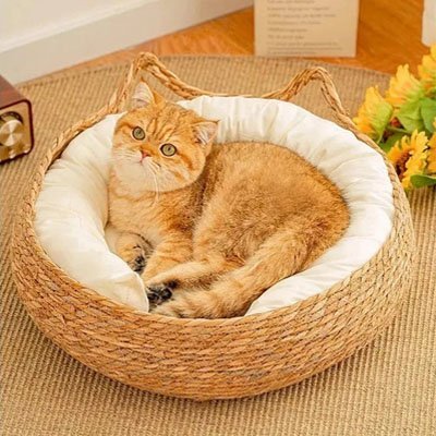 panier osier chat cozy home